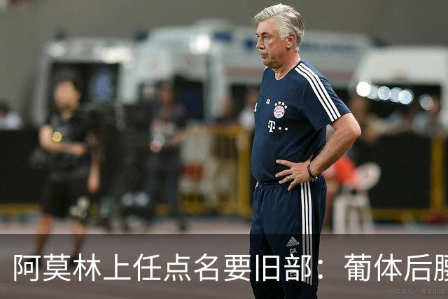 阿莫林上任点名要旧部：葡体后腰卖4500万，曼联放弃之人想转会