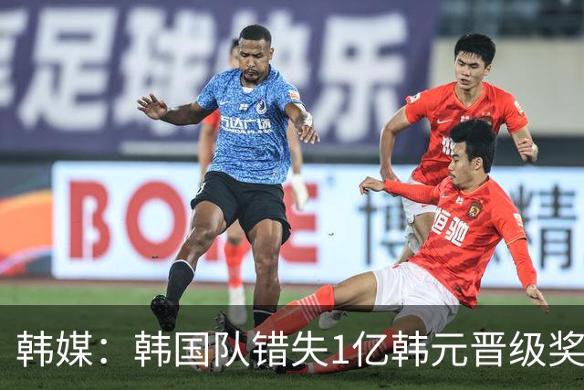 韩媒：韩国队错失1亿韩元晋级奖 但每人仍可拿8000万津贴